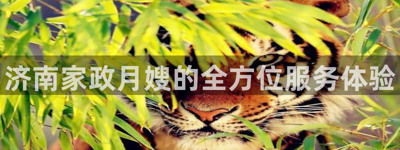杏悦平台主管