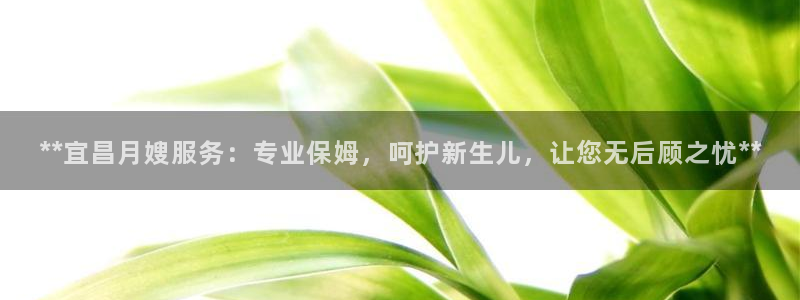 杏悦平台招商怎么样