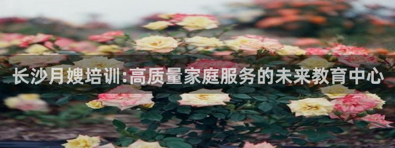 杏悦平台