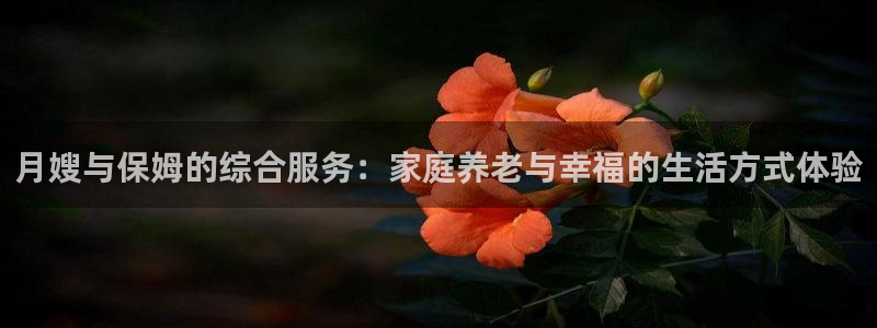 杏悦1招商地址