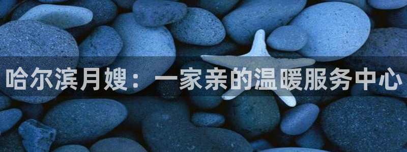 杏悦平台开户地址怎么改