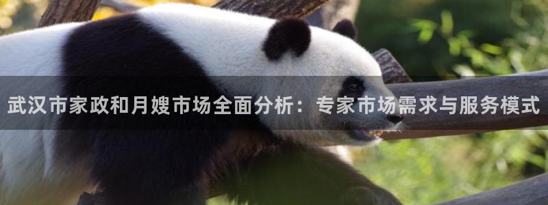 杏悦平台可靠吗是真的吗还是假的