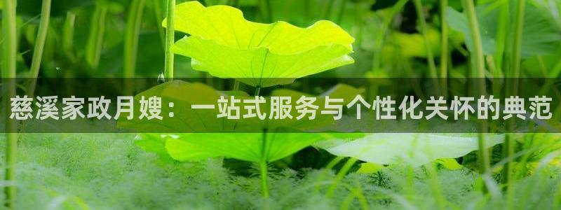 杏悦官方平台是正品吗安全吗