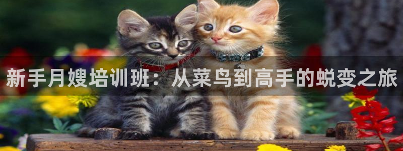 杏悦 -首选推荐平台