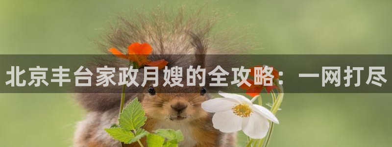 杏悦平台代理怎么样啊