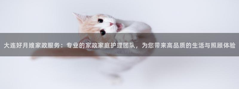 杏悦招商地址