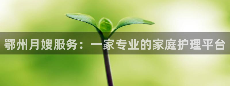 杏悦t首选推荐平台