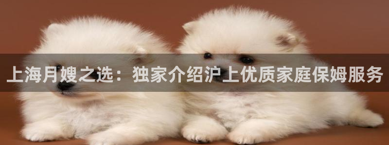 杏悦娱乐注册平台