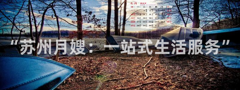 杏悦平台代理怎么赚钱快