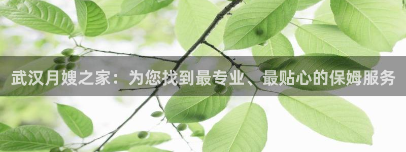 杏悦平台公司介绍