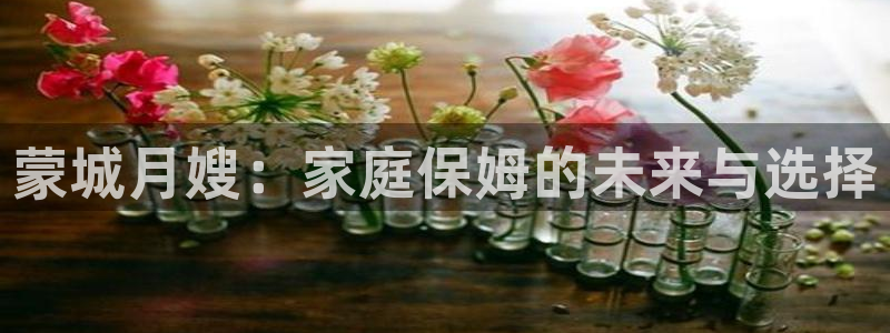 杏悦平台代理怎么样啊
