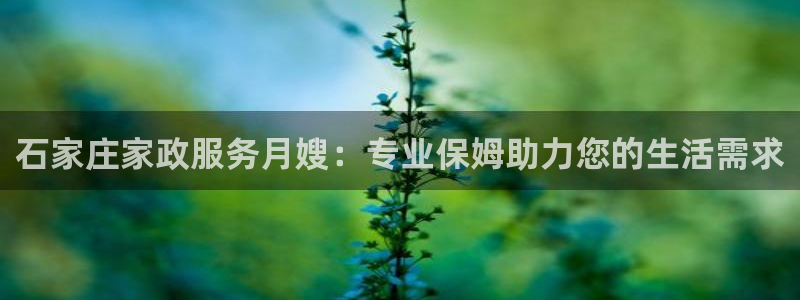 杏悦平台官网注册