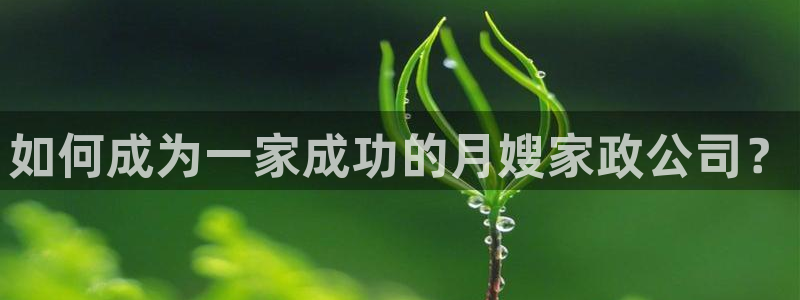 杏悦平台登录入口官网