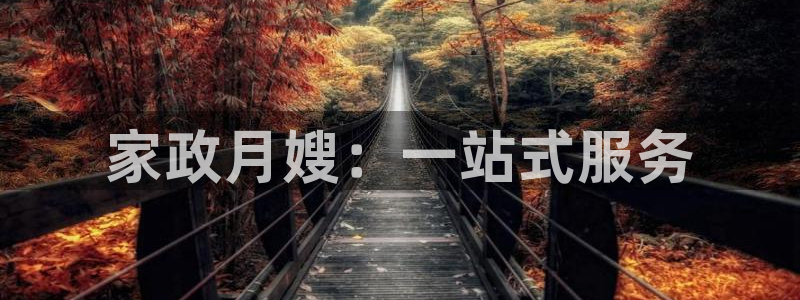 杏悦平台线路测速