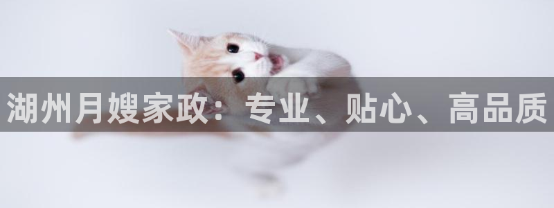 杏悦平台代理注册要钱吗