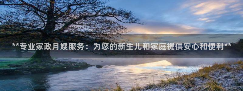 杏悦平台登录网址查询