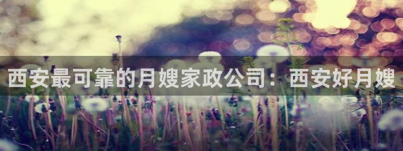 杏悦官网登录入口网址是多少