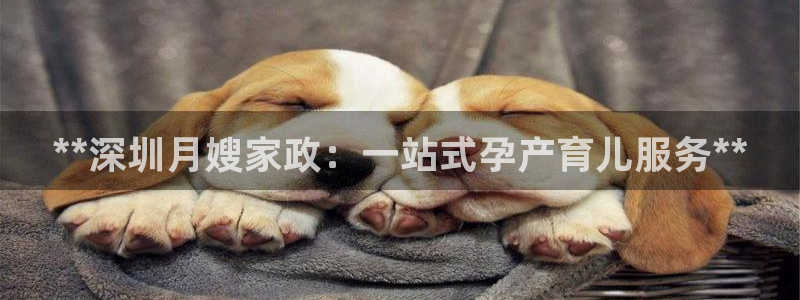 杏悦官网注册信息在哪里查看