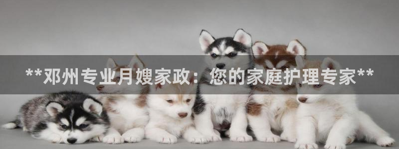 杏悦平台官网注册