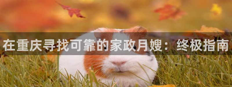 杏悦平台代理注册多少钱