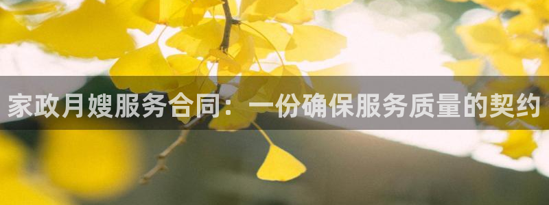 杏悦平台如何注册账号