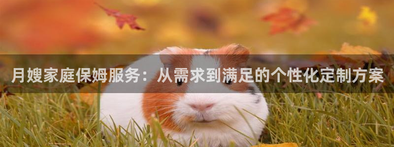 杏悦平台登录网址