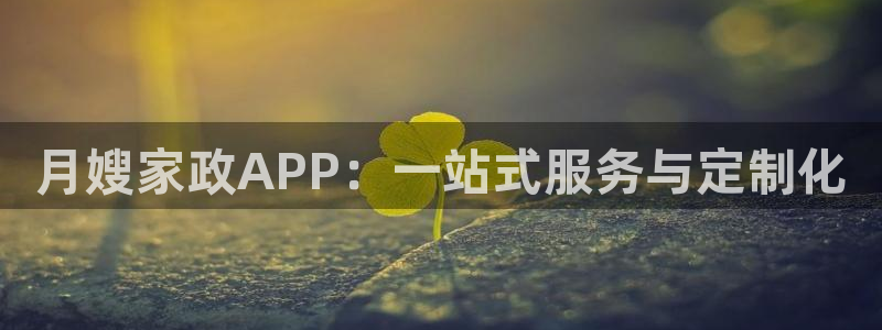 杏悦官网注册信息在哪里看