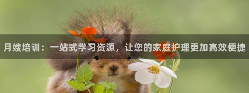 杏悦平台代理注册要钱吗