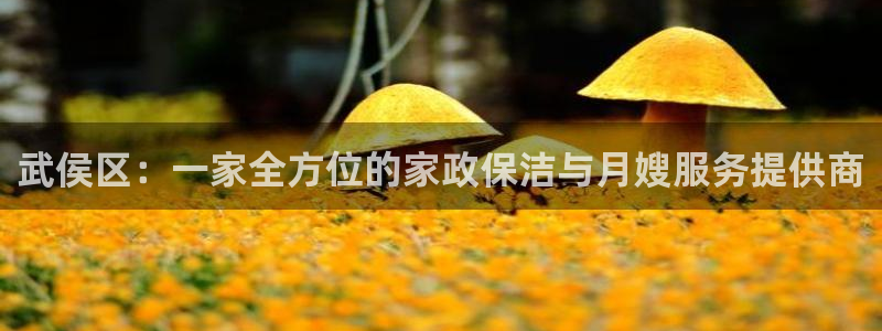 杏悦官网注册信息是什么