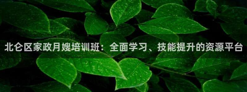 杏悦官网登录