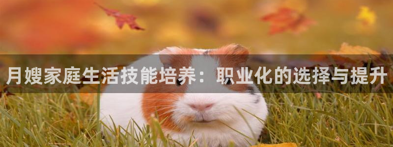 杏悦官网登录入口网址是什么