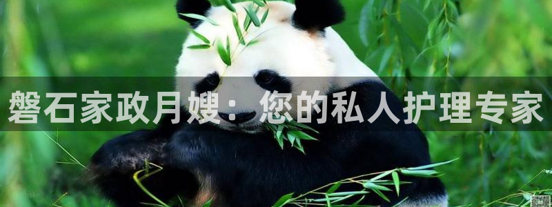 杏悦平台开户地址是什么