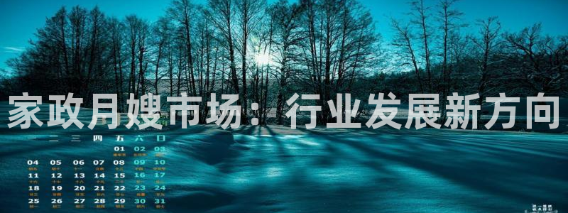 杏悦平台代理注册流程