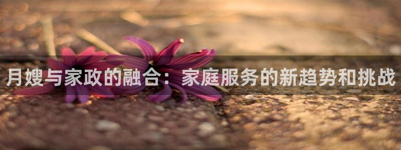 杏悦官网注册信息在哪里