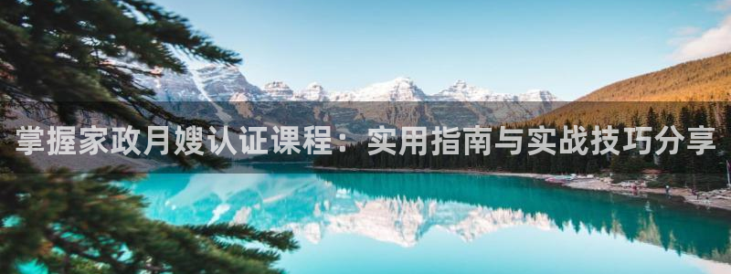 杏悦平台登录入口官网