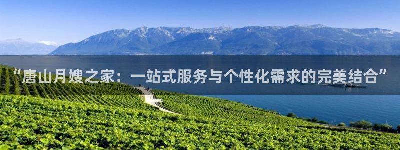 杏悦平台注册流程