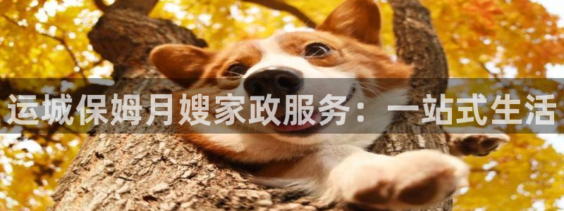 杏悦登录网址是什么