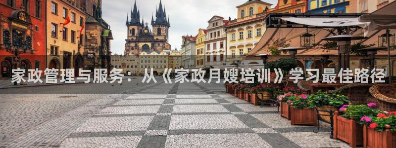 杏悦平台注册地址