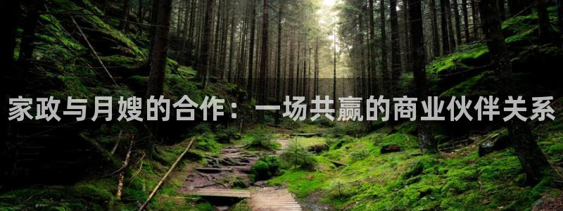 杏悦平台如何注册账号