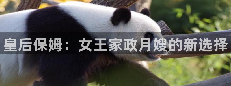 杏悦平台注册要钱吗