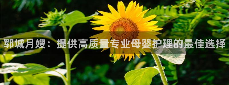 杏悦官网注册信息在哪里