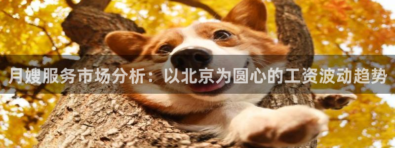 杏悦官网登录入口网址是什么