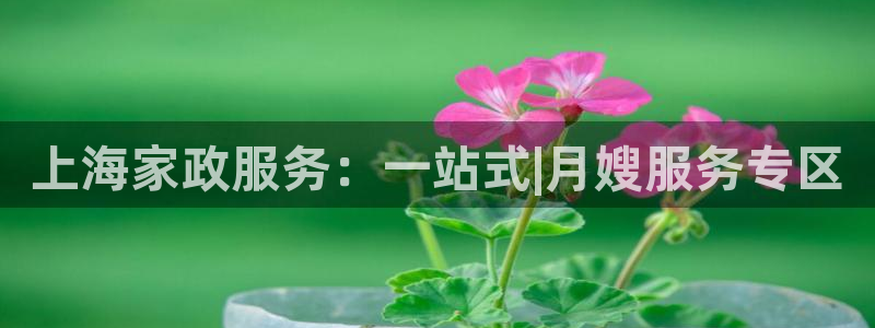 杏悦平台登录地址在哪里