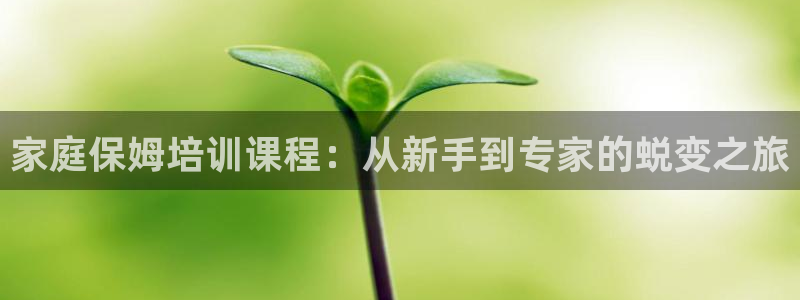 杏悦官方平台官网