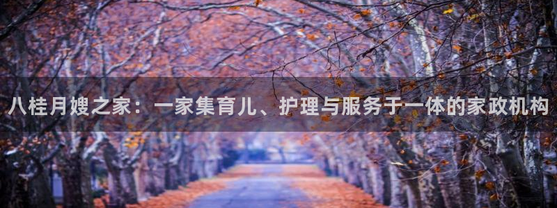 杏悦平台代理怎么赚钱的