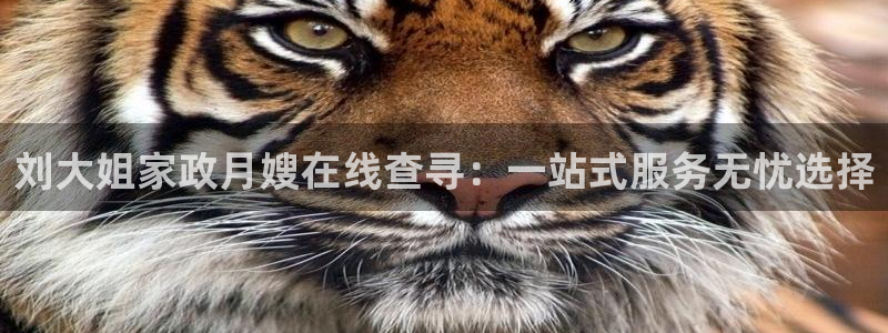 杏悦官网注册信息在哪里查看